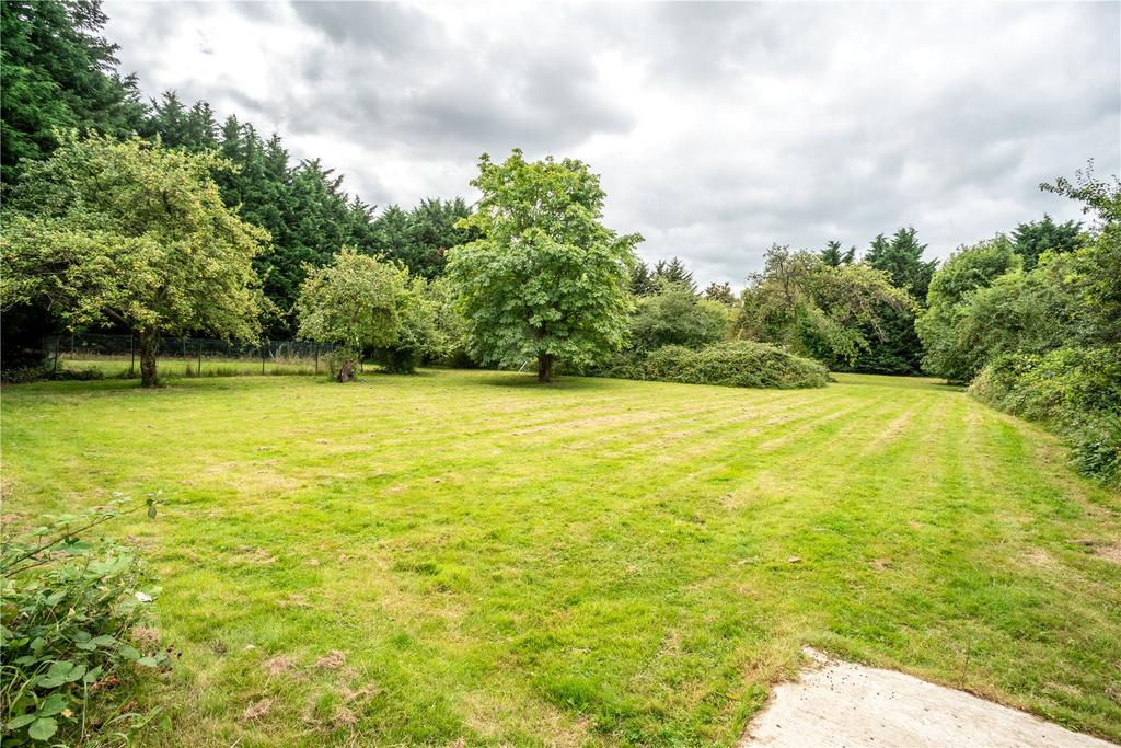 Grounds