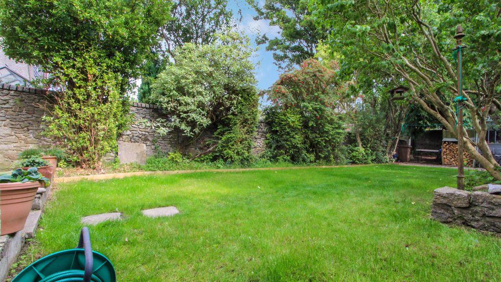 Garden at Back