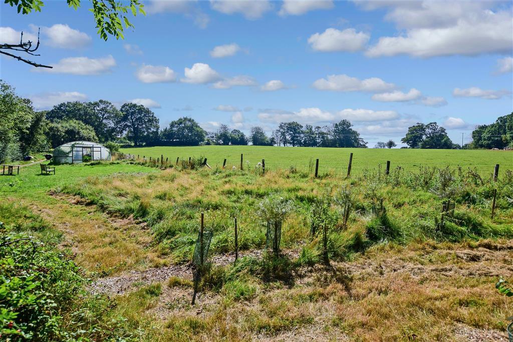 Surrounding Area
