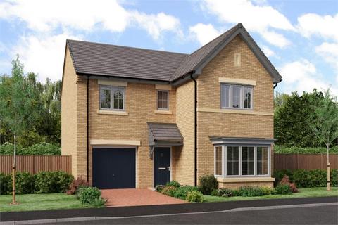 4 bedroom detached house for sale - Plot 148, The Seeger at Brookland Park, Off Low Lane TS5