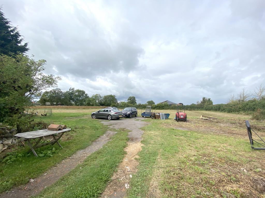 Field