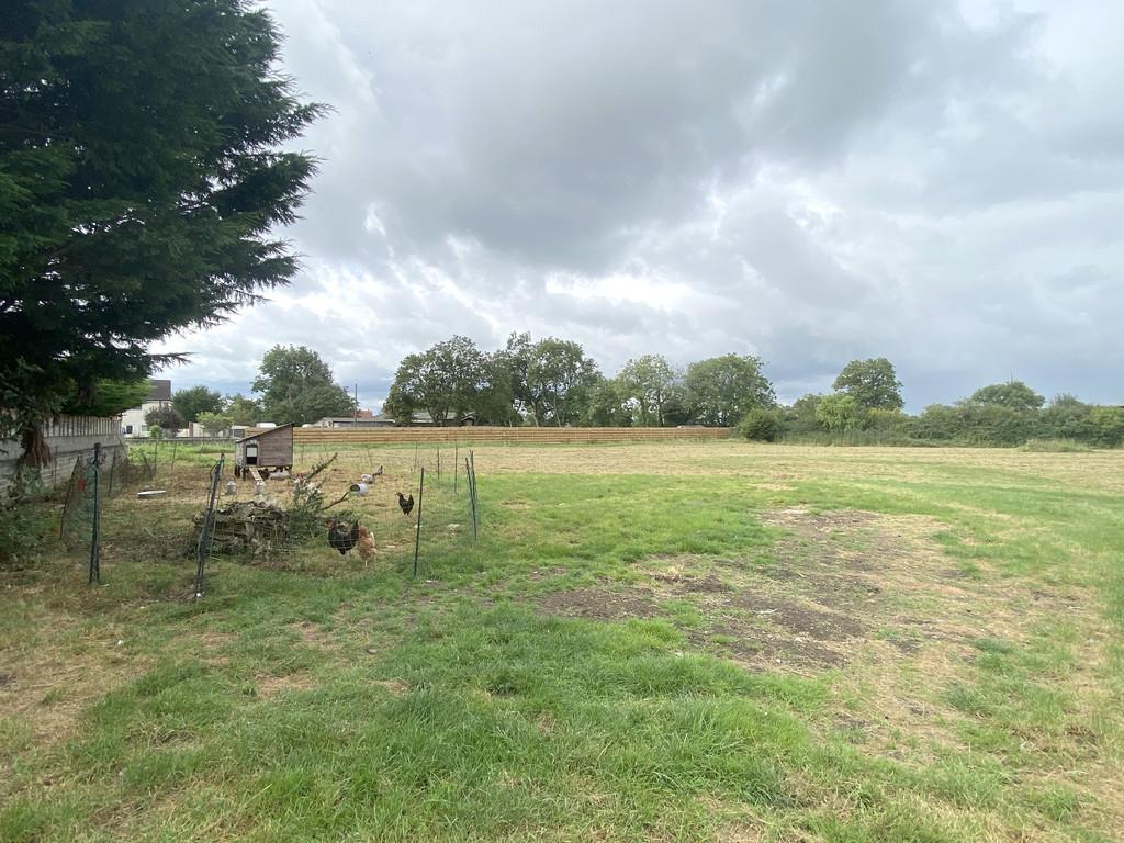 Field