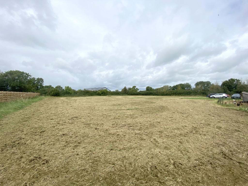 Field