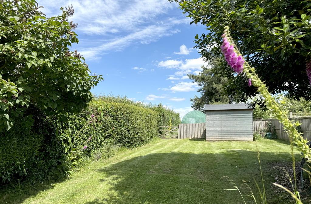 Garden 2