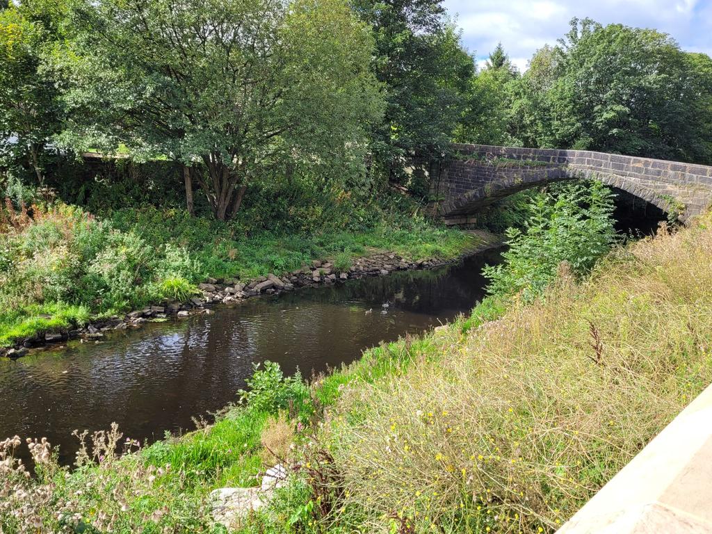 Photograph 12