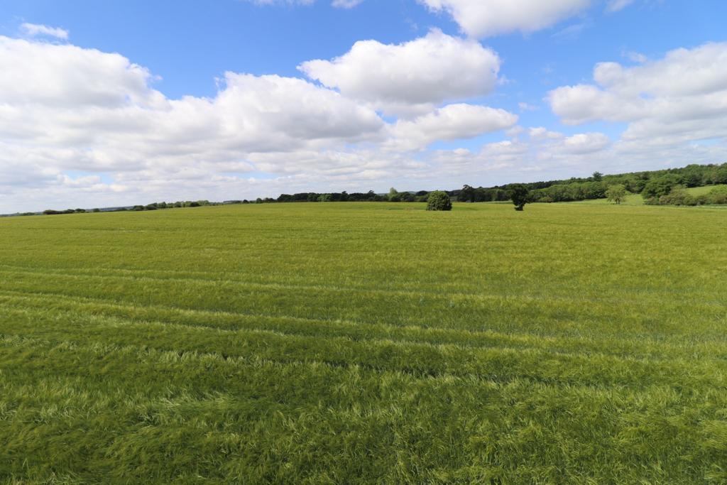 52 Acres Arable Land for Sale