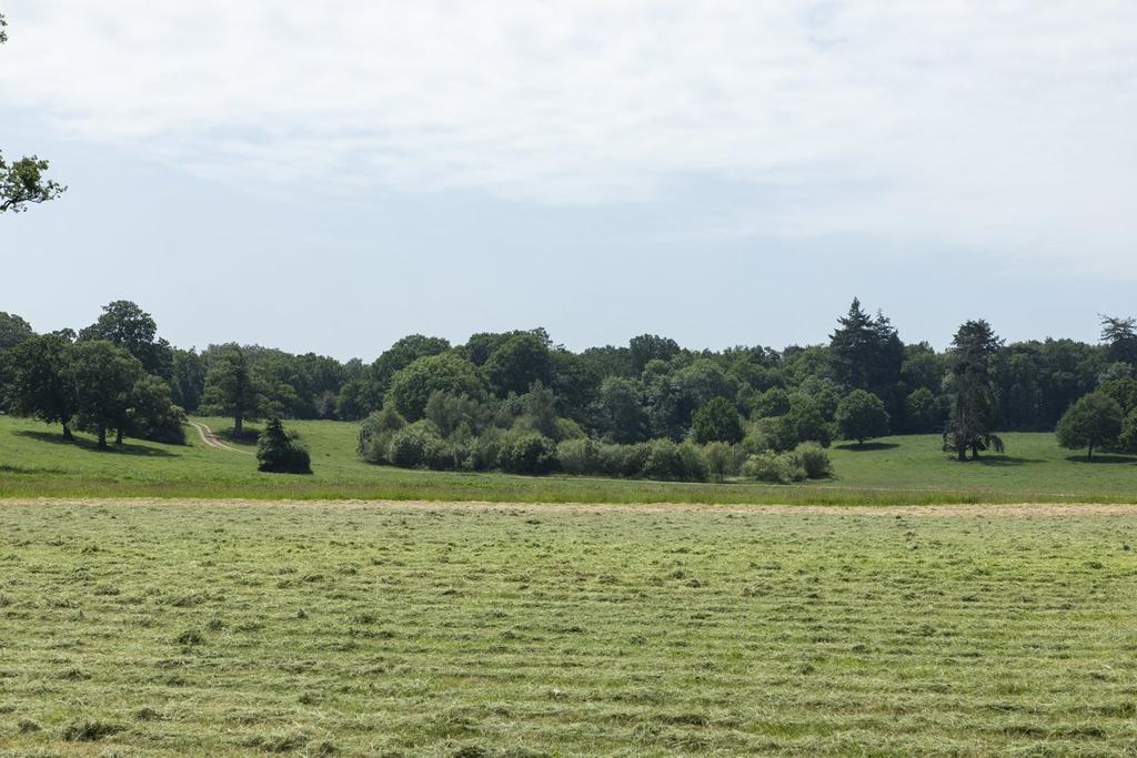 Parkland View