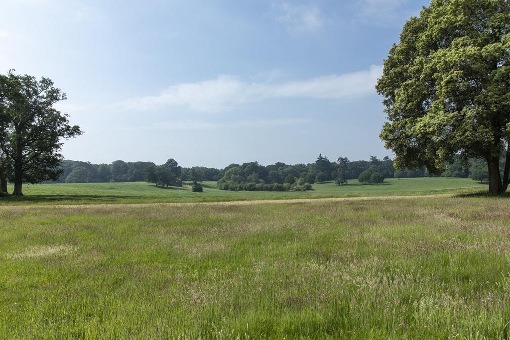 Parkland View