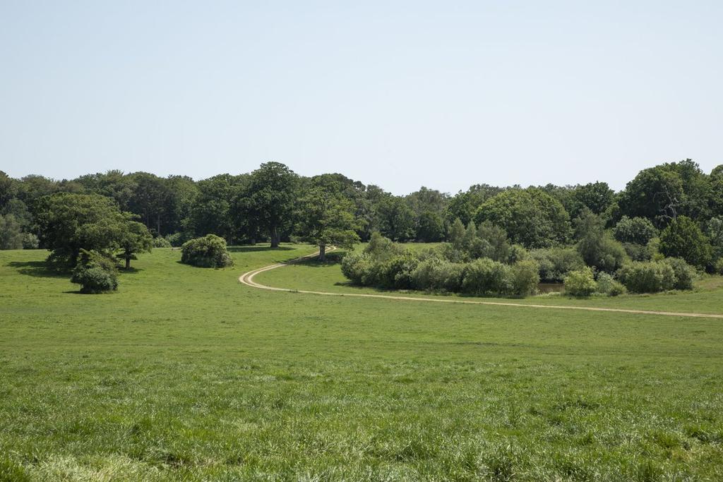 Parkland