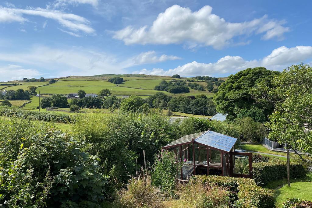 Views from the Garden