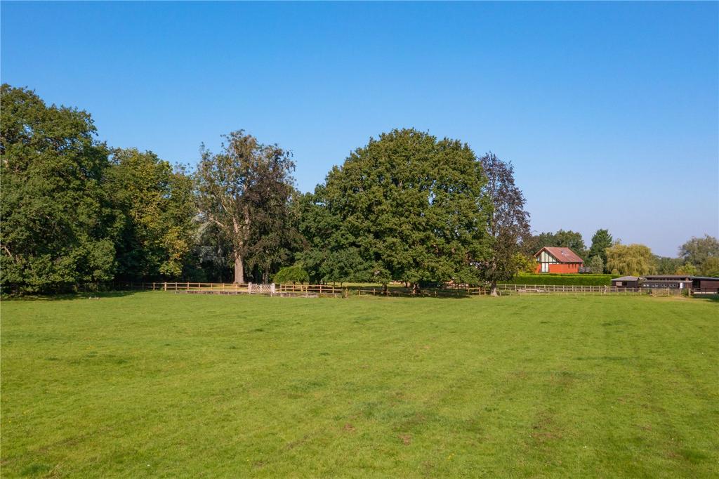 Grounds