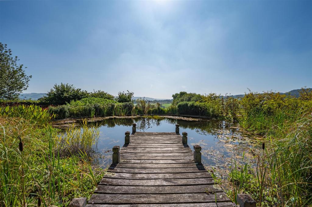 Pond and views