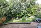 Garden.JPG