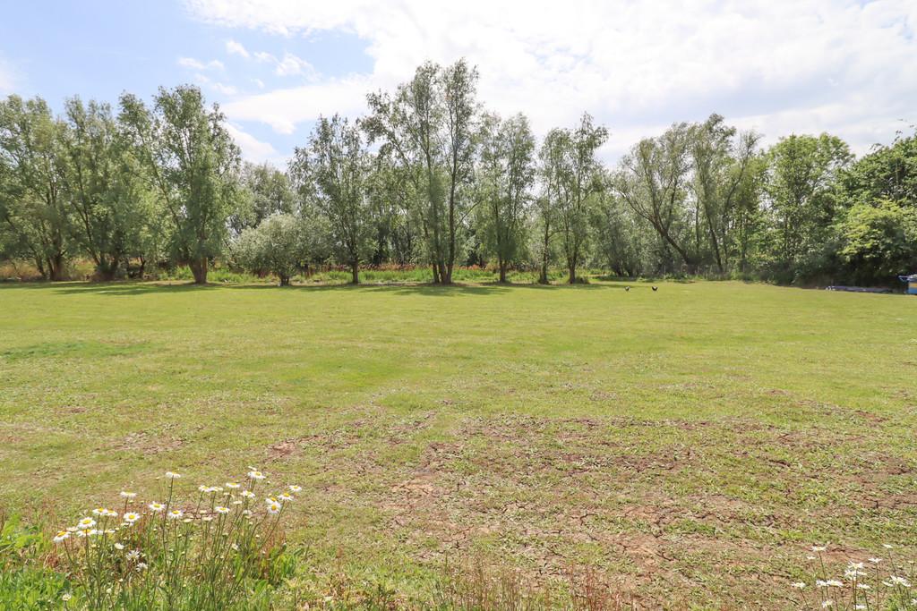The Paddock