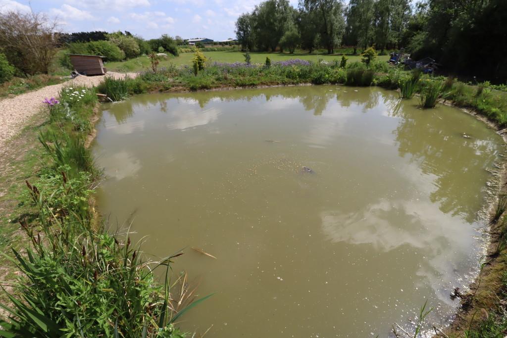 Fishing Pond