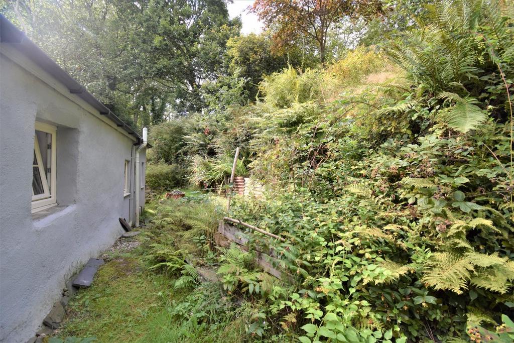 Side Garden.jpg