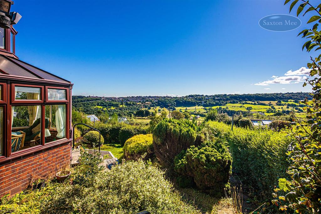  78 A7583 copy.jpg