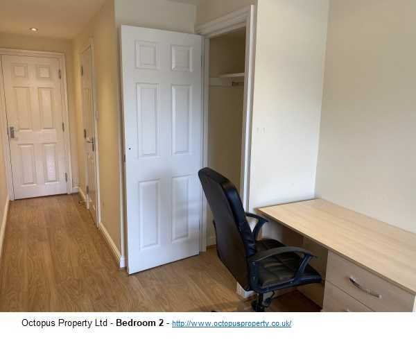 Picture 20