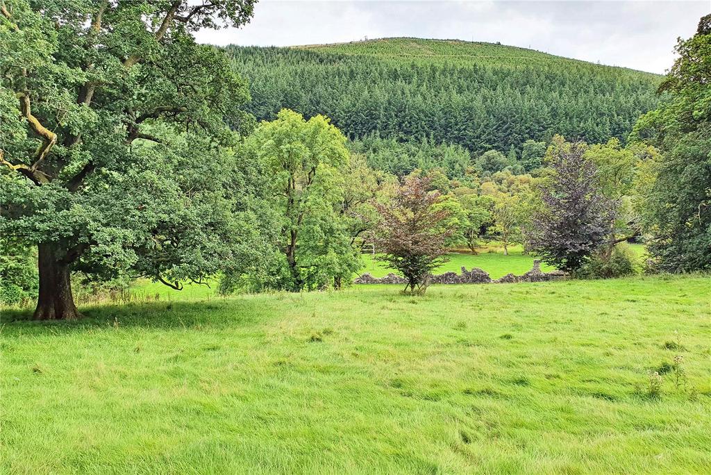 The Green