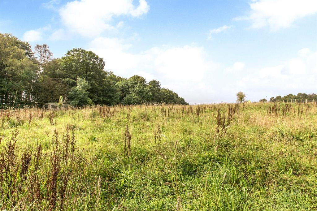 Field