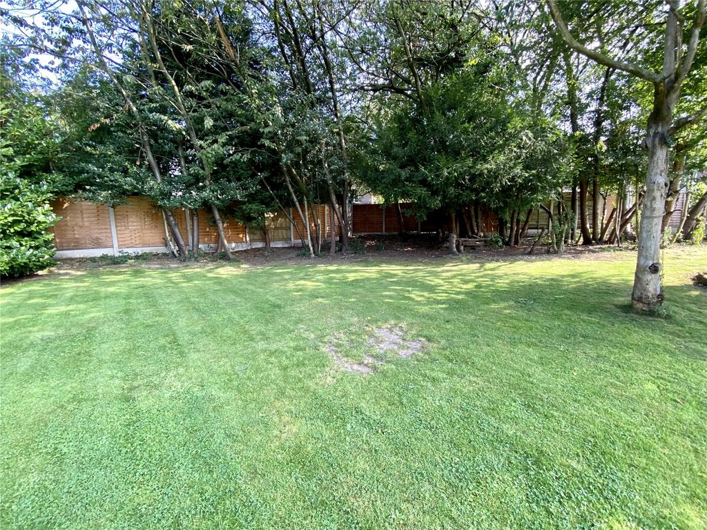 Picture 17