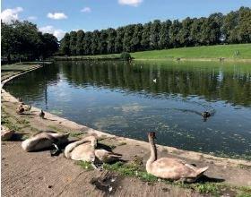 Inverleith Park