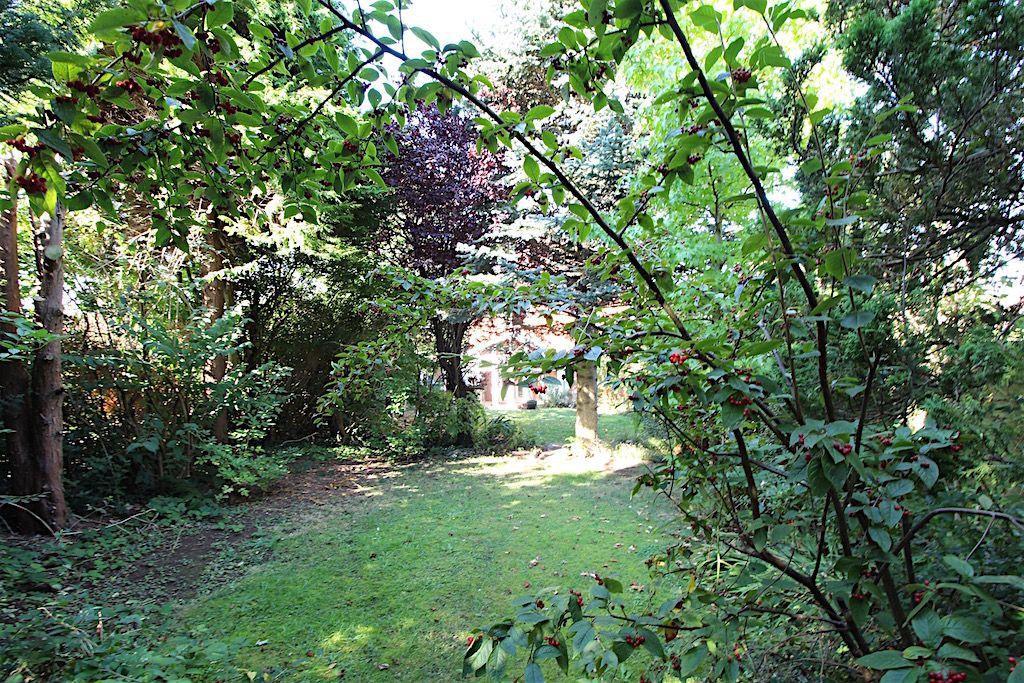 Garden at Back