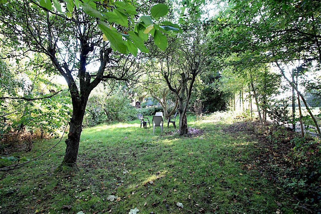 Garden at Back