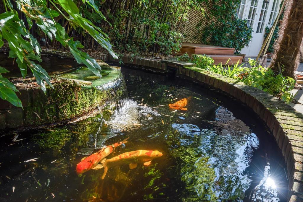 Pond