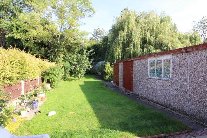 Back garden
