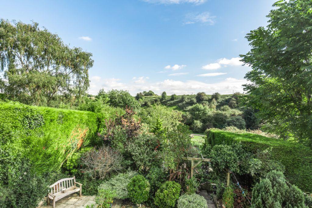 Garden at Back