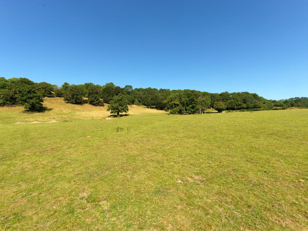 Shropshire Estate Agents