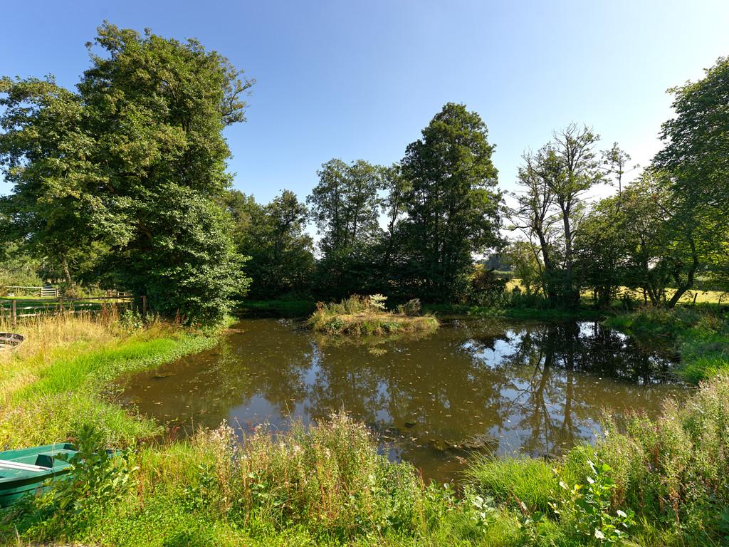 Shropshire Estate Agents