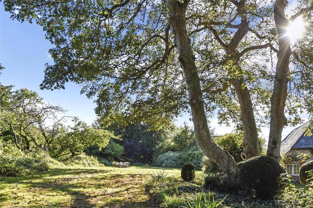 Grounds