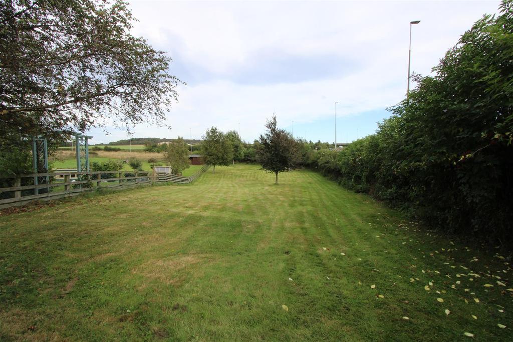 Img 4576.jpg