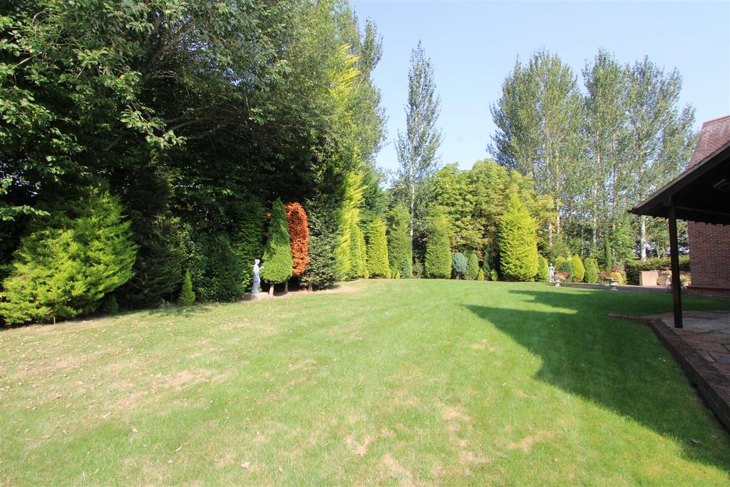 Img 4260.jpg