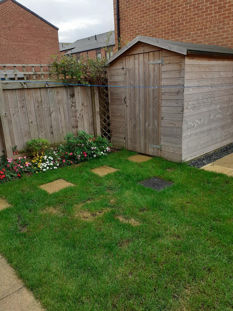 Rear garden