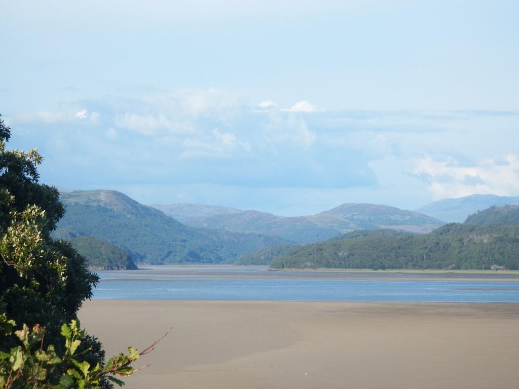 The Estuary