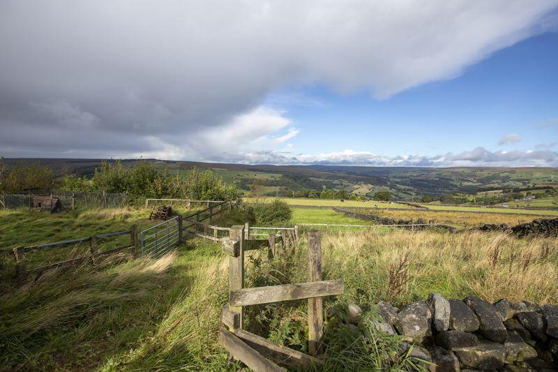 Land & View