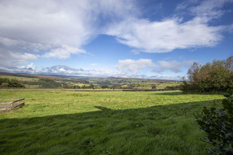 Fields & View