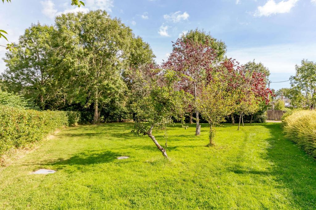 Orchard