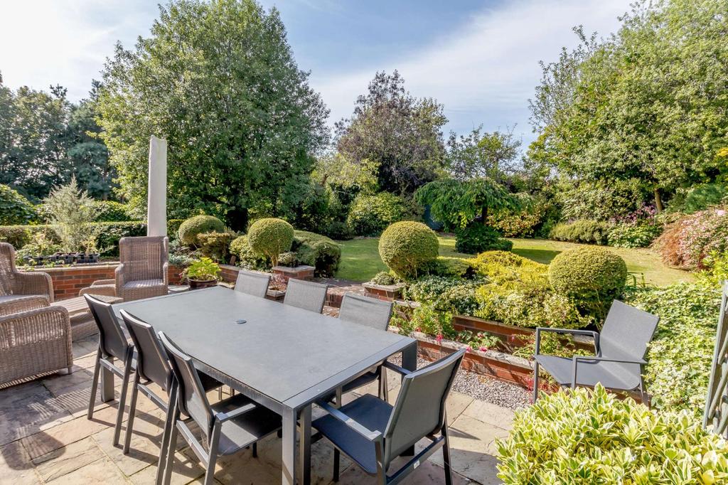 Terrace and Garden