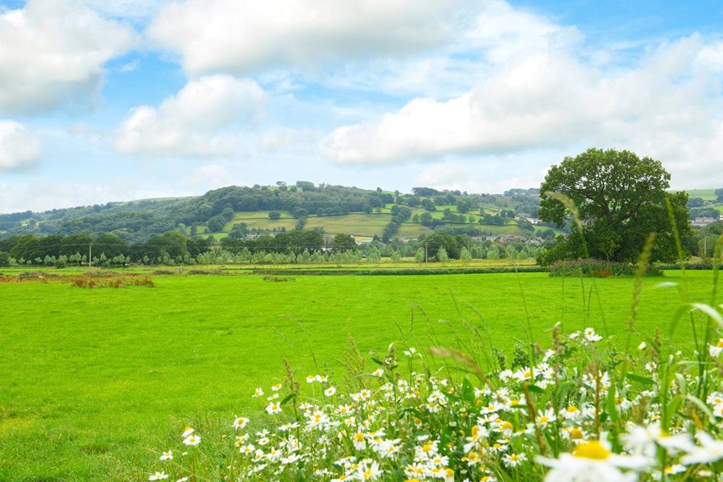 Saxon Dene Countryside Views open fields