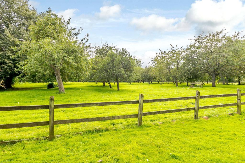 Orchard