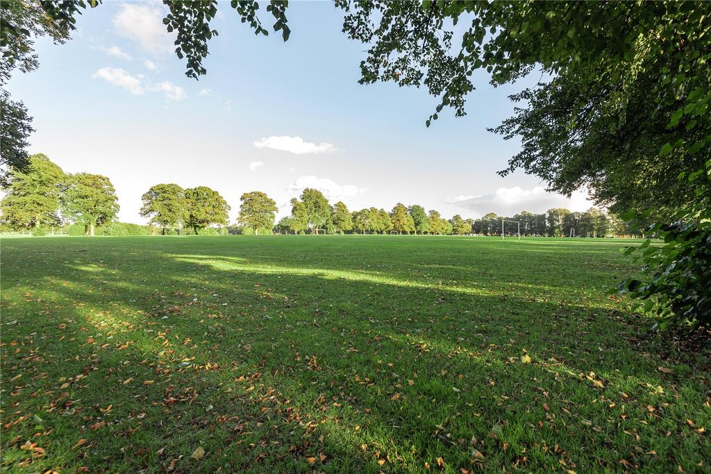 Backing Onto Park