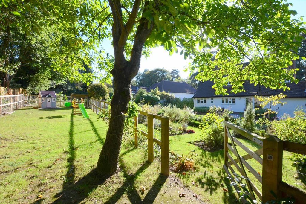 Garden and rear