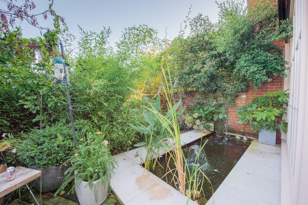 Garden at Back