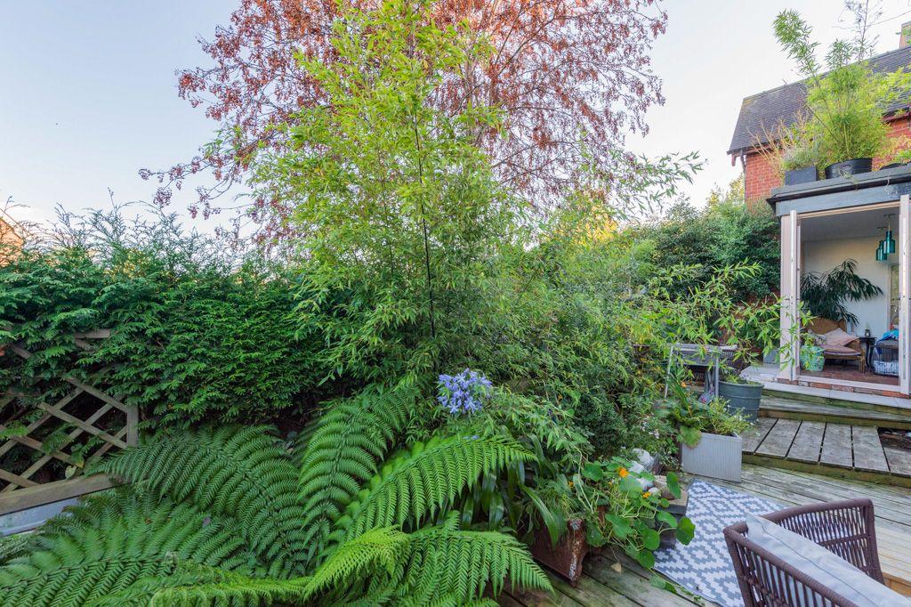 Garden at Back