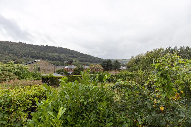 Garden &amp; View