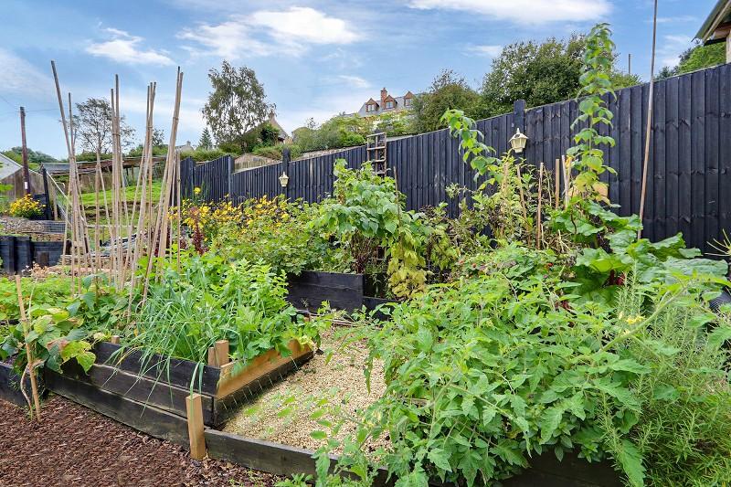 Vegetable Garden